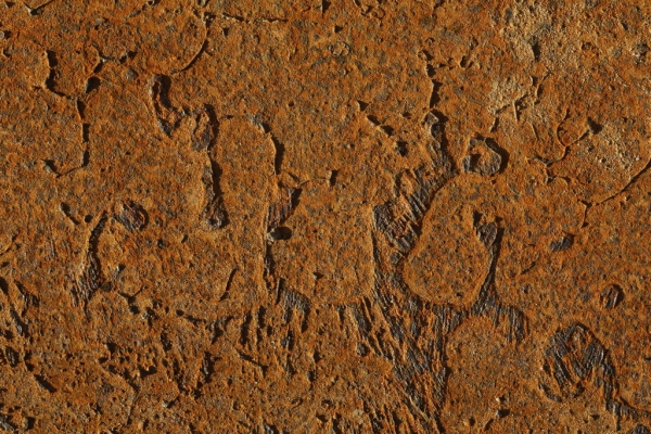 17a82122EC955E8-62E5-545C-C3D7-EE73040853F7.jpg